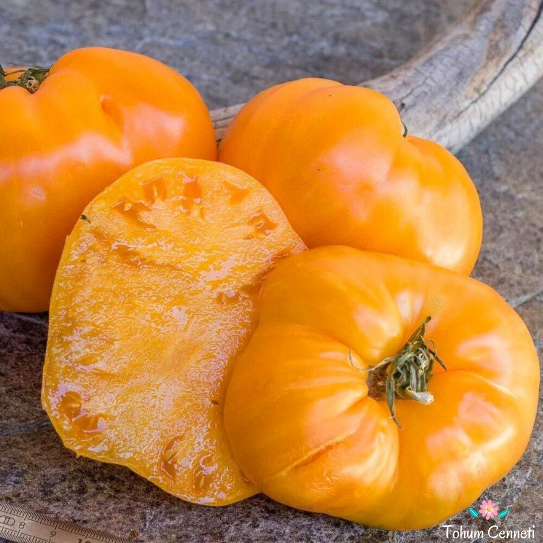 Sarı Oxheart Yürek Domates Tohumu (10 Tohum)