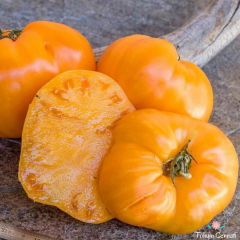 Sarı Oxheart Yürek Domates Tohumu (10 Tohum)