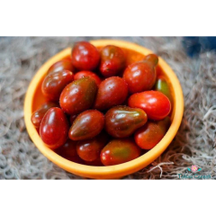 Siyah Armut Domates Tohumu (10 Tohum)