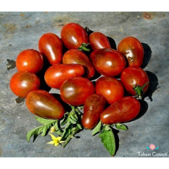 Siyah Armut Domates Tohumu (10 Tohum)