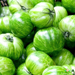 Yeşil Zebra Domates Tohumu (10 Tohum)
