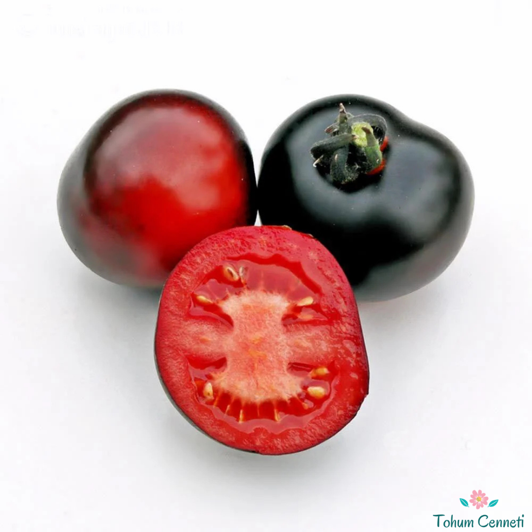 İndigo Rose Domates Tohumu (10 Tohum)