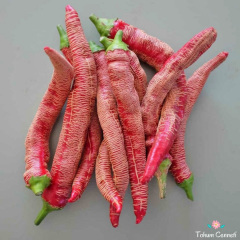 Acı Arnavut Biberi Tohumu (10 Tohum)