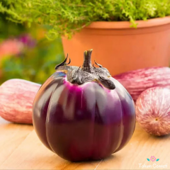 Prosperosa Patlıcan Tohumu (10 Tohum)